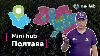 Центральний схід. Як спрацювала DEFENDA на КУКУРУДЗІ? Різниця СИЛОСНИХ і ЗЕРНОВИХ гібридів