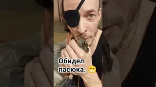 Обидел дикую крысу. 😆 Лечил и не спрашивал. 😅 #wildrats #cuterats #animals #волонтерство