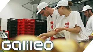 Brötchen belegen als Beruf: So stressig ist der Job als Bäckerzulieferer | Galileo | ProSieben