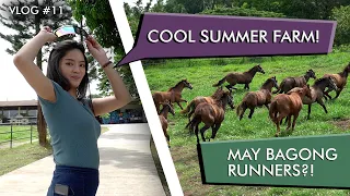 COOL SUMMER FARM Docu-vlog | #LuckyLeaVlog No.11
