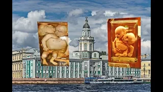 Санкт Петербург и первый необычный музей России