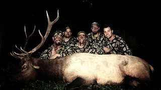 BRO Crew tags 2 Bulls '30 Days' Born and Raised Full Draw Archives 2011