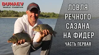 Ловля дикого сазана на фидер