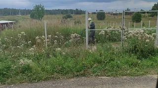Покос травы мульчером ВЕЗДЕКОС ТС-1000
