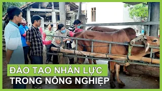 Đẩy mạnh đào tạo nhân lực cho HTX nông nghiệp | VTC16