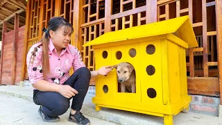 How to make a dog house - Build a new life -Ly Nhe