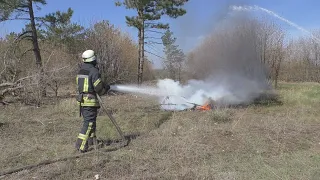 Покровські рятувальники та лісники тренувалися гасити лісові пожежі