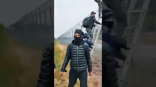 طريقة تهريب المهاجرين من حدود صربيا هنغاريا على يد تيطواني | طريق البلقان