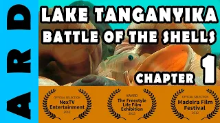 Battle of the Shells - Documentary series on shelldwelers from Lake Tanganyika - Part 1 of 7