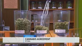 Minnesota lawmakers: Cannabis bill is "buttoned up"