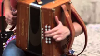 Patrícia Pereira / Concertina