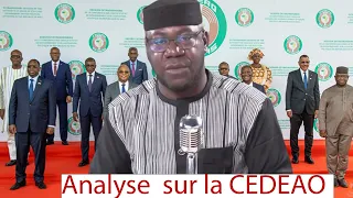 Issa Kaba. Le Mali doit quitter le plus rapidement possible la Cedeao