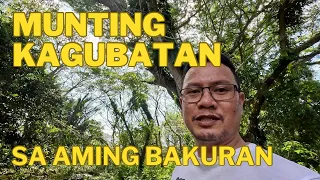 Munting Kagubatan sa Aming Bakuran