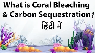 What is Coral Bleaching & Carbon Sequestration ? - Environment and Ecology current affairs UPSC