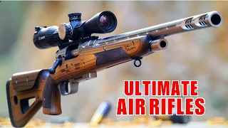 Top 6 Best Air Rifles Perfect for Big Game Hunting