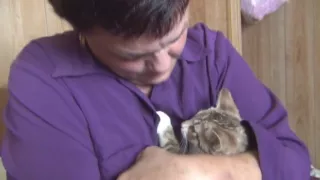 Grandma Gets a Cat!