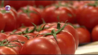 Pomidor kəskin bahalaşıb