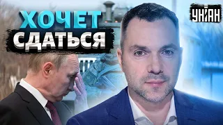 Кремль выпрашивает перемирие, Путин начал отступать – Арестович