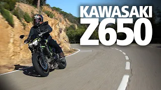 Kawasaki Z650 (2020) Review | So much more than a beginners bike?