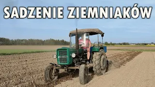 Ciapek wkracza do akcji! 🔥 Sadzenie ziemniaków 🔥 Ursus C-328 i sadzarka Solan Lublin S-228 w akcji!