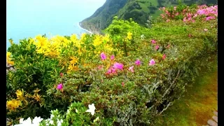 Азорские острова.  Португалия. Azores. Portugal.