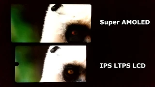 Super Amoled vs IPS (Display Test)