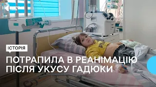 8-річна дівчинка потрапила в реанімацію після укусу гадюки на базі відпочинку на Львівщині