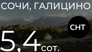 Классный участок в Галицино 5,4сот. Сочи/Галицино участок у леса.