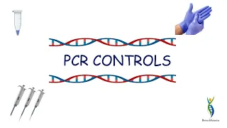 PCR CONTROLS | TYPES OF PCR CONTROLS