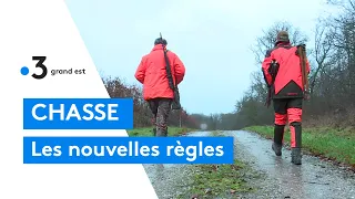 Plan de sécurité de la chasse : réactions de chasseur lors d'une battue