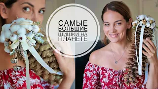 Убираю СМОЛУ и декорирую САМЫЕ большие шишки в мире / DIY TSVORIC