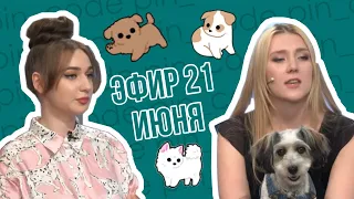 ПИН_КОД:  День кинолога! // Легко ли ухаживать за пушистиками? // Как не попасть в цепкие зубы стаи?