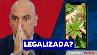 STF VAI DESCRIMINALIZAR USO DAS DROGAS? ENTENDA O CASO