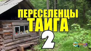 ПЕРЕСЕЛЕНЦЫ В ТАЙГЕ | ПОСТРОИТЬ ДОМ | УРОЖАЙ ЛЬНА - ЖИЗНЬ В ТАЙГЕ ЗИМОЙ | СУДЬБА ЧЕЛОВЕКА 2