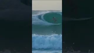 Joey Biasotto Surfing Wilderness