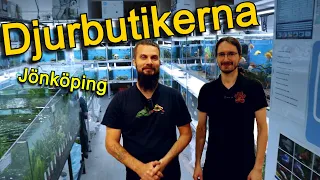 Massor av akvariefiskar! Ett besök hos Djurbutikerna i Jönköping (fishtour)