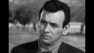 DAVID JANSSEN TRIBUTE