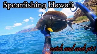 Labor Day Camp Weekend in Hawaii /Spearfishing, Fishing/ (PART 1)