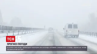 На Україну насуваються снігопади, хуртовини і сильний вітер | ТСН 19:30