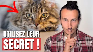 Appliquez ce Secret des Chats pour Guérir Instantanément 🐱