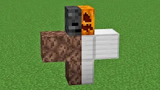 iron golem + wither = ???