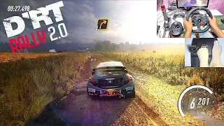 DiRT Rally 2.0 - Peugeot 208 WRX - Steering Wheel - Seq Shifter - Handbrake