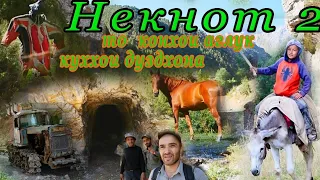 Сайри деха ва куххои Некнот кисми 2. TAJIKISTAN.  ZERAVSHAN. PENJAKENT NEKNOT