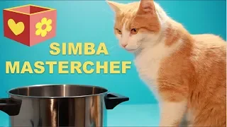 Cute cat part six | Bellboxes | Simba the master chef | 6 |