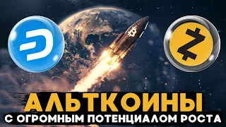 АЛЬТКОИНЫ С ОГРОМНЫМ ПОТЕНЦИАЛОМ РОСТА DASH/ZEC/XCH! ЧТО БУДЕТ С БИТКОИНОМ, КАК ТАМ МОЙ ШОРТ?