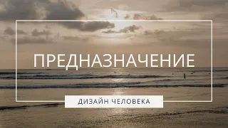 ПРЕДНАЗНАЧЕНИЕ I ДИЗАЙН ЧЕЛОВЕКА