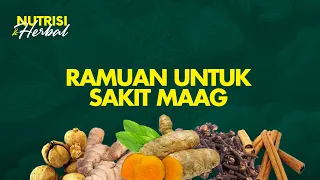 8 Bahan Alami Ampuh Menyembuhkan Sakit Maag, Wajib Coba | Nutrisi & Herbal #2