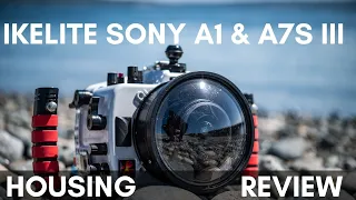 Ikelite Sony A1 & Sony A7S III Housing Review // The Ultimate Sony 2-for-1!