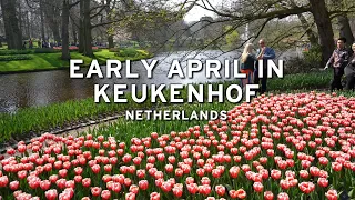 🇳🇱 Early April in Keukenhof - Netherlands  (4K)