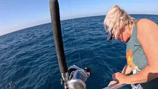 MASSIVE Goliath grouper stood no chance against electric reel